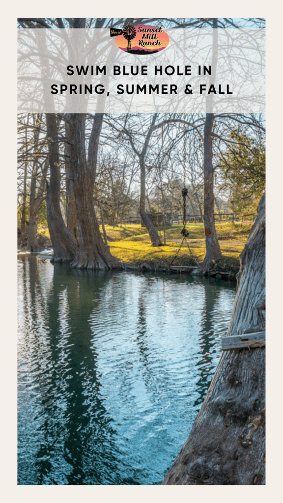 image of blue hole in wimberley