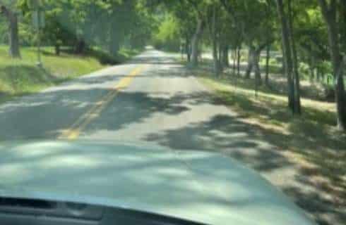 View from inside of a car driving on a small road surrounded by trees
