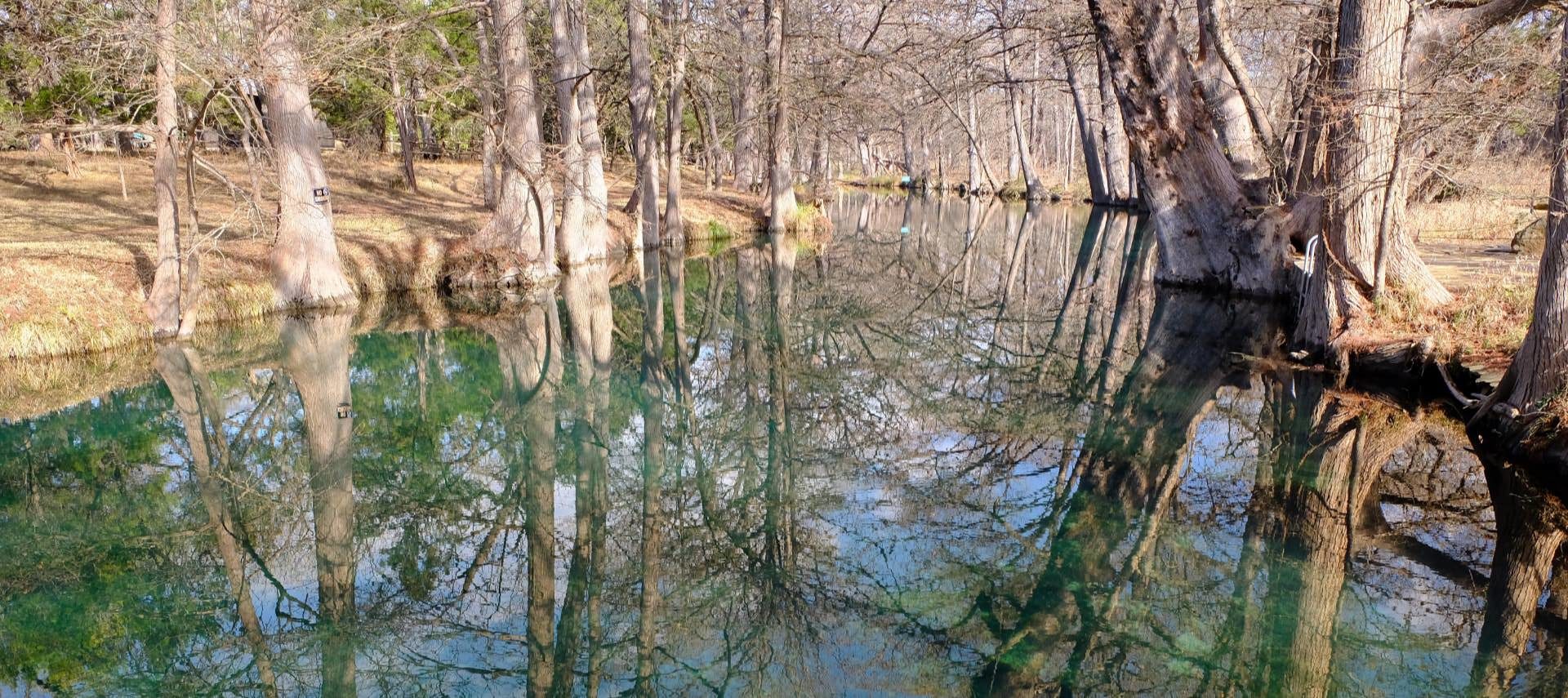 Close up view of water in a creek surrounded by many trees all reflecting in the water