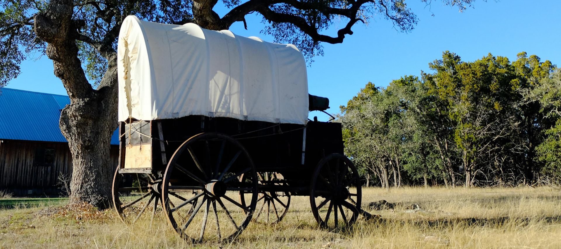Old covered wagon sitting in a grassy area with large trees and a barn in the background